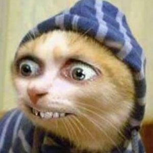 Meet your Posher, Ben